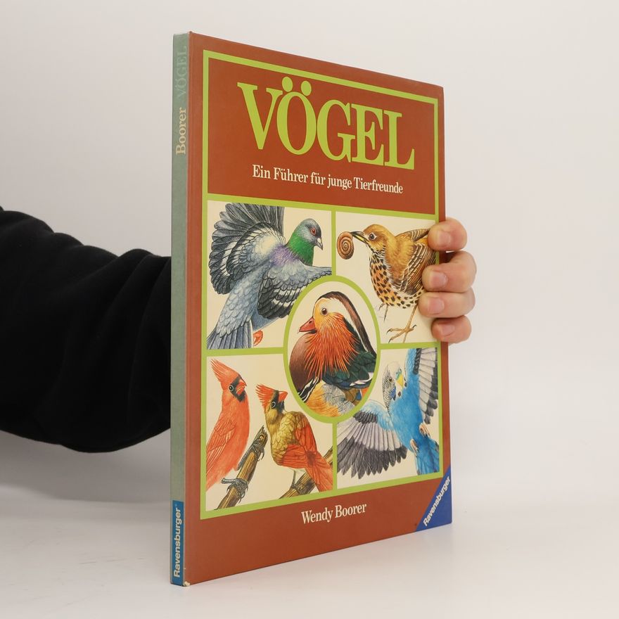 Wendy Boorer Vögel