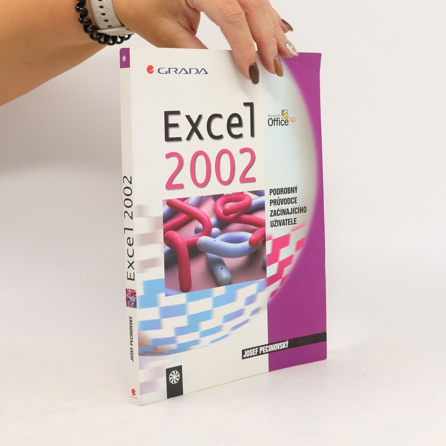 Josef Pecinovský Excel 2002
