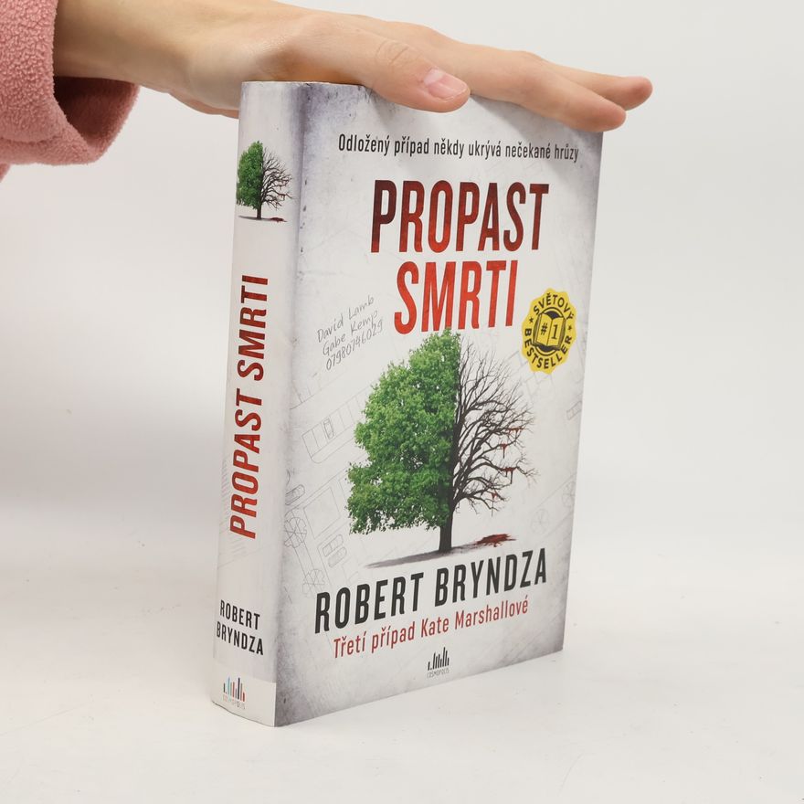 Robert Bryndza Propast smrti