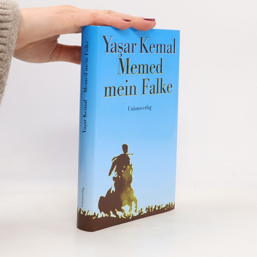Yaşar Kemal Memed, mein Falke