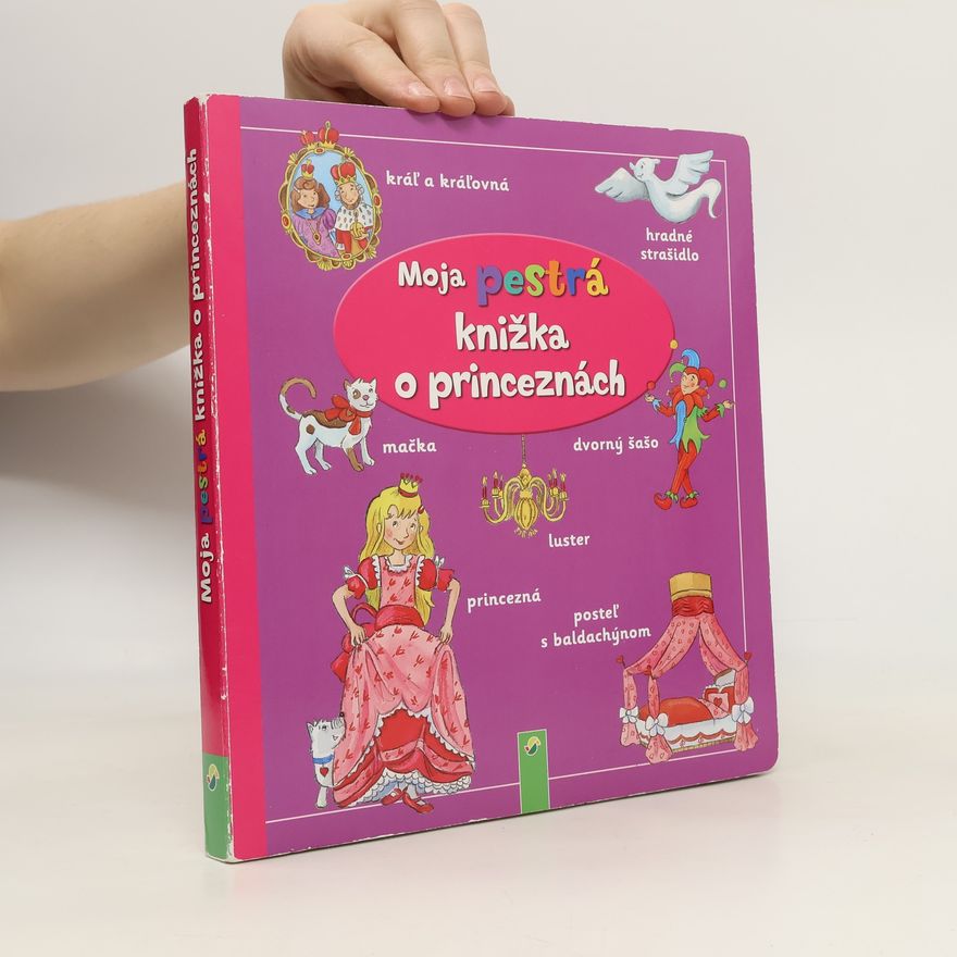 Stefanie Klassen Moje pestrá knížka o princeznách