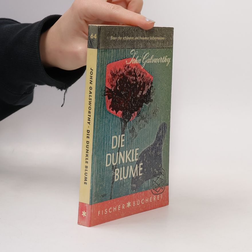 John Galsworthy Die Dunkle Blume