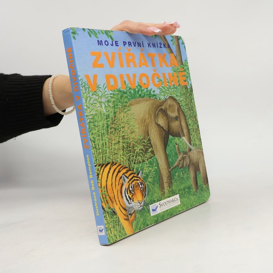Kolektiv autorů Zvířátka v divočině