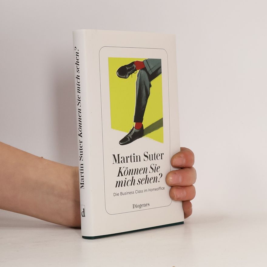 Martin Suter Können Sie mich sehen?
