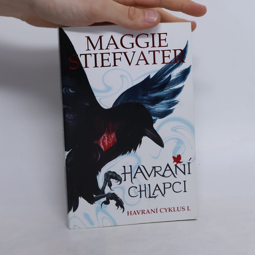 Maggie Stiefvater Havraní chlapci