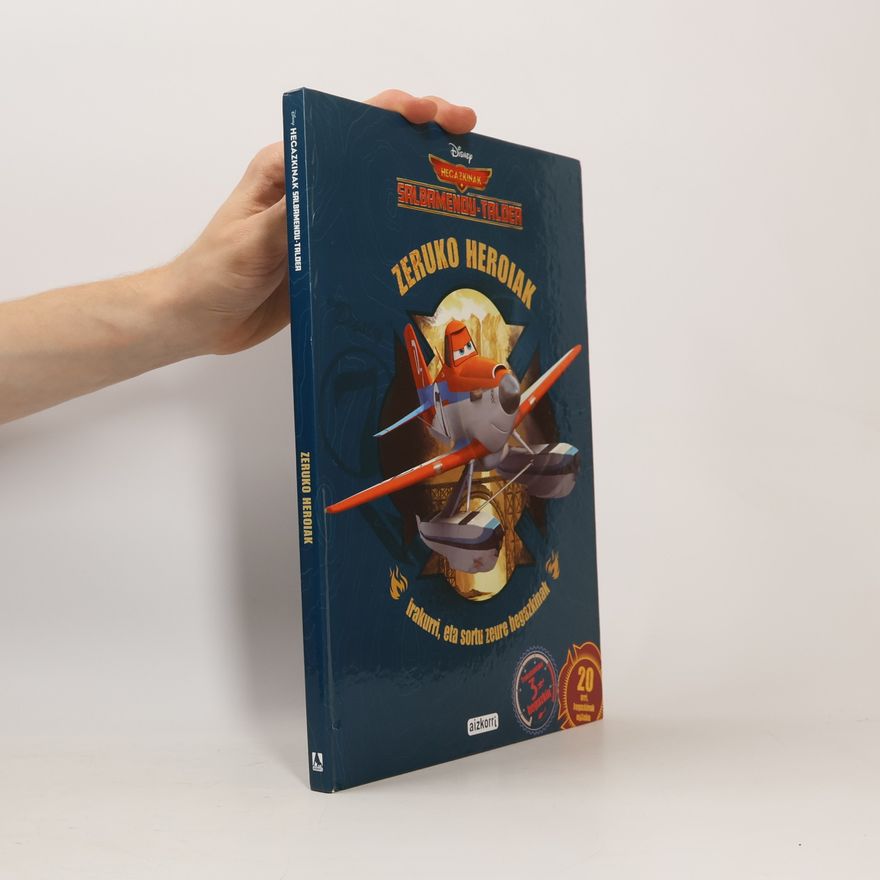 Walt Disney Company Hegazkinak, salbamendu taldea: Zeruko heroiak