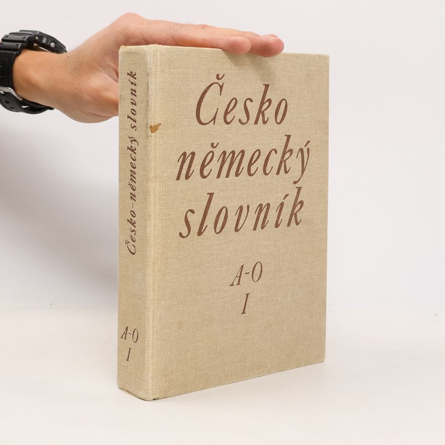 Autorenkollektiv Česko-německý slovník I. A-O