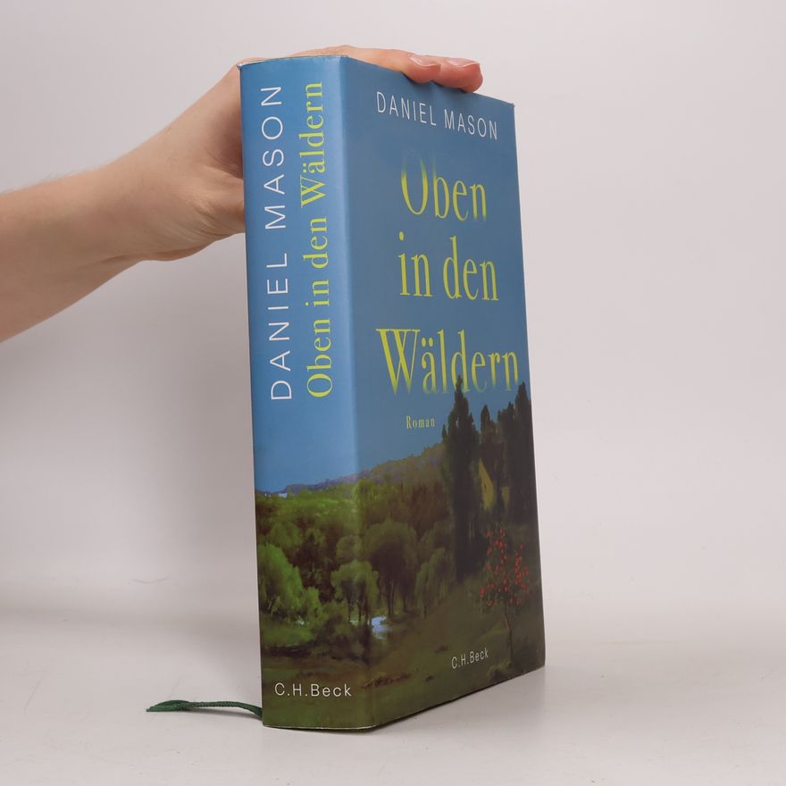 Daniel Mason Oben in den Wäldern