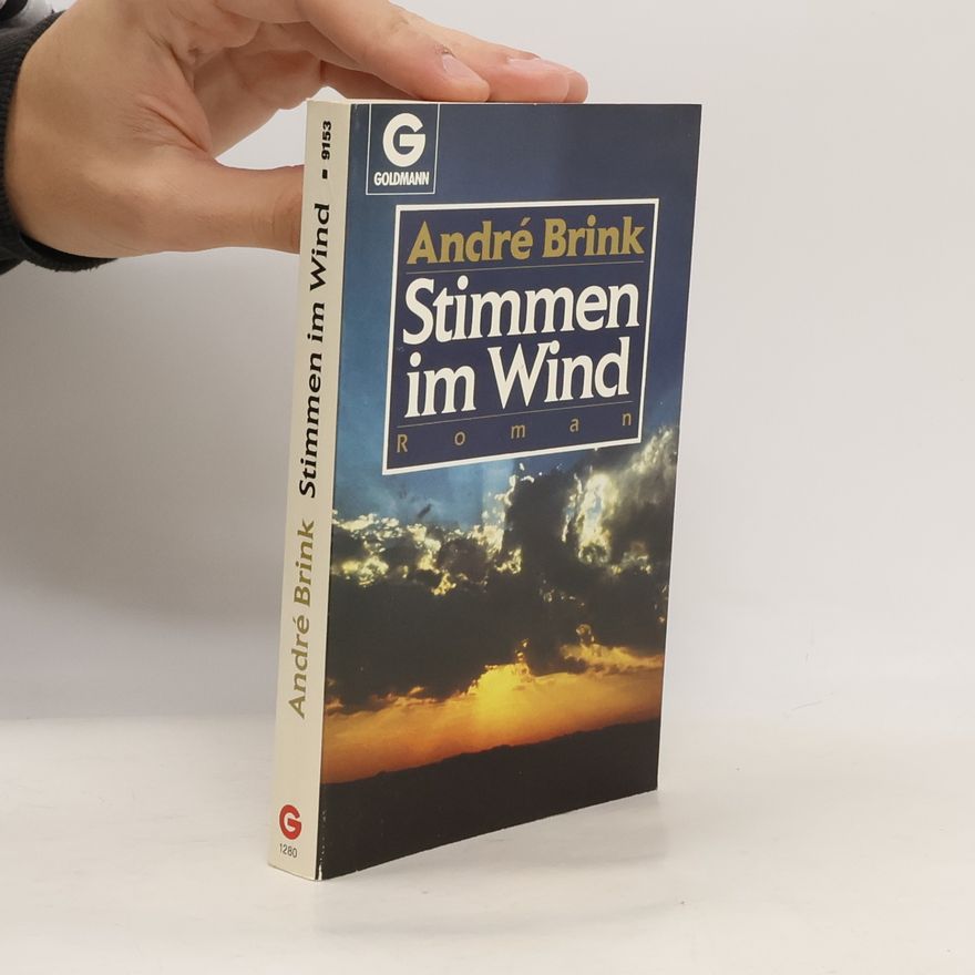 André Brink Stimmen im Wind