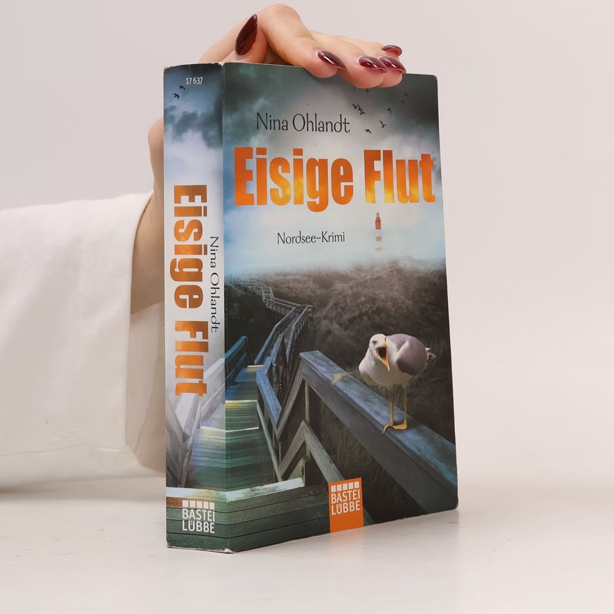 Nina Ohlandt Eisige Flut