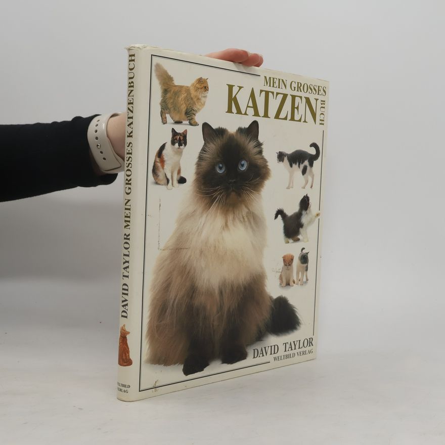 David Conrad Taylor Mein grosses Katzen Buch
