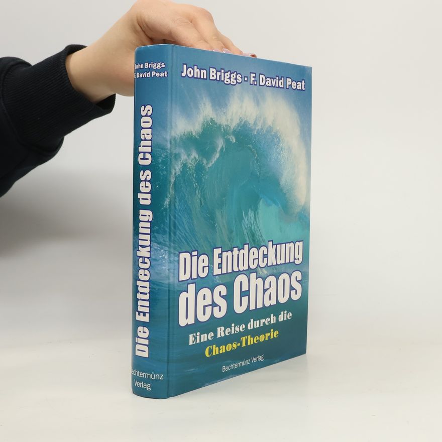 John P. Briggs Die Entdeckung des Chaos