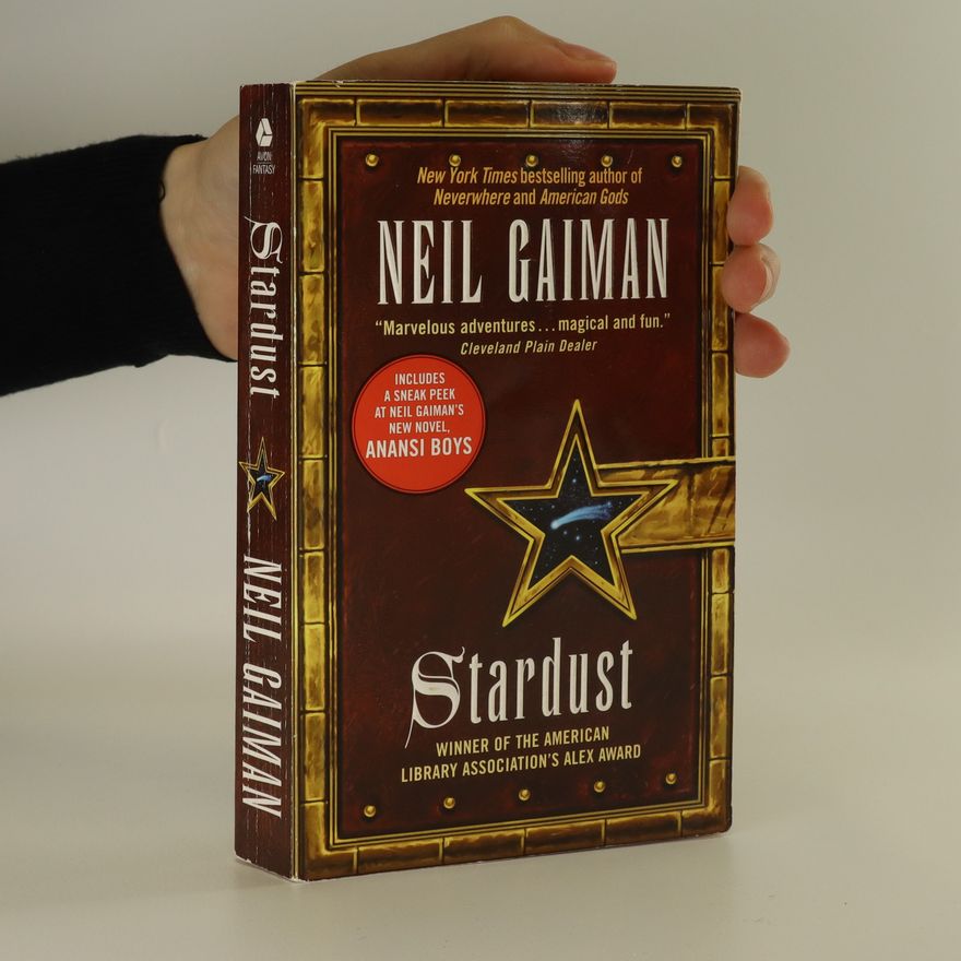 Neil Gaiman Stardust